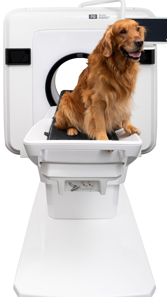 Երբ տեխնոլոգիան բառելավում է աշխարհը